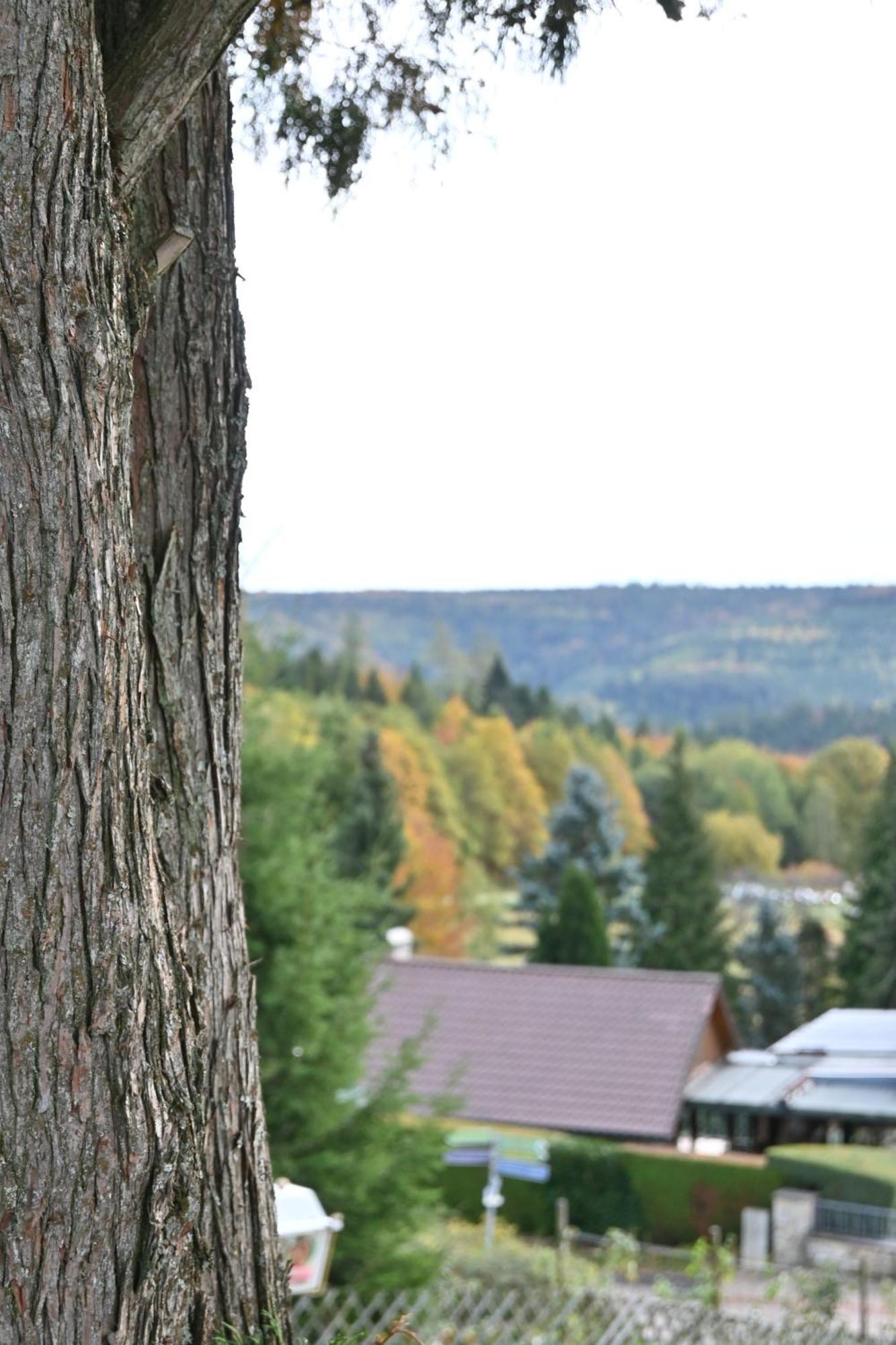 Hotel Talblick Dobel Eksteriør billede